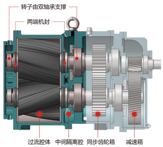 轉(zhuǎn)子泵雙支撐軸設計