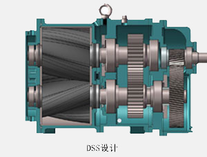 公司簡介dss.jpg